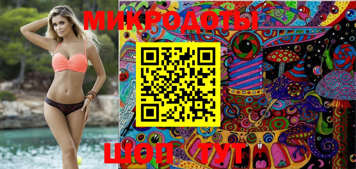 Псилоцибиновые грибы Psilocybe Кимры