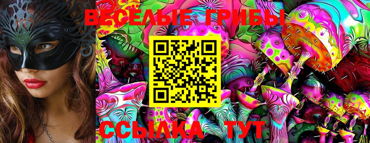 Галлюциногенные грибы MAGIC MUSHROOMS  Вход с VPN  продажа наркотиков  Кимры  Галлюциногенные грибы Psilocybe 